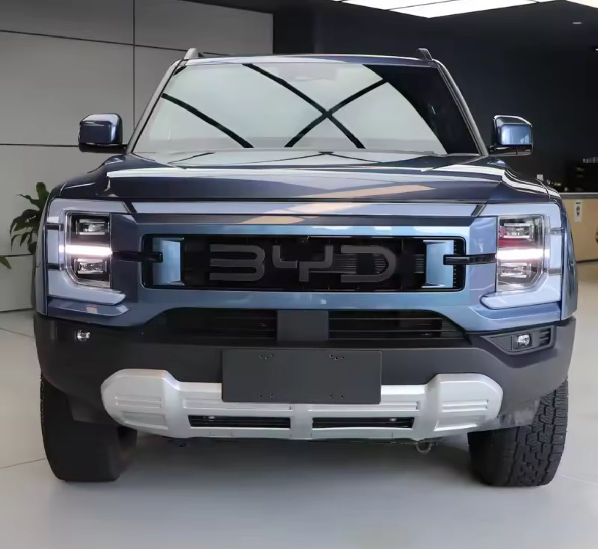 BYD SHARK 6 - Badge Overlay Front